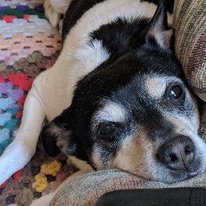 Meet your Posher, Gary